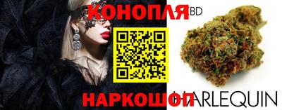 прущие крисы Будённовск