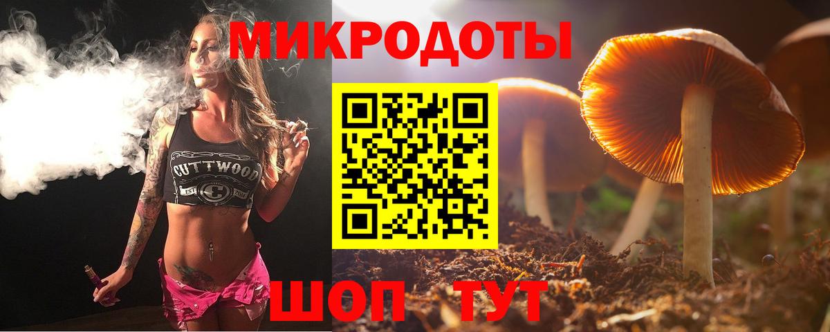 Щёкино  Псилоцибиновые грибы прущие грибы  Вход с VPN 